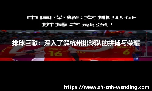 排球巨献:深入了解杭州排球队的拼搏与荣耀